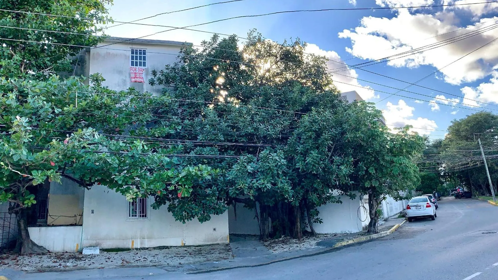 Apartment Coral Near Mamitas Beach location